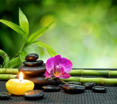 Zen Spa Serenity: Bamboo, Orchid, and Stones for Relaxation