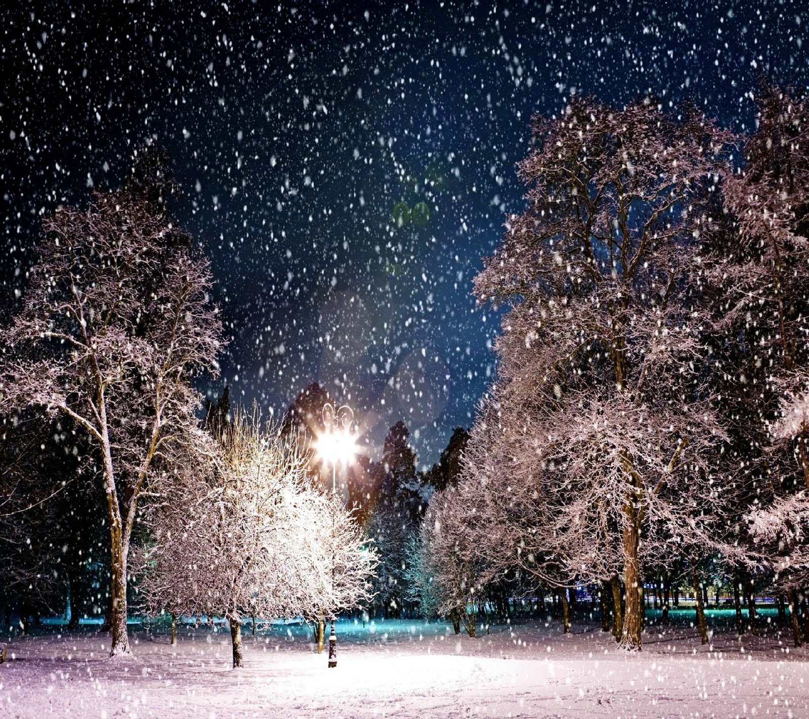 Lade winter Hintergrund herunter