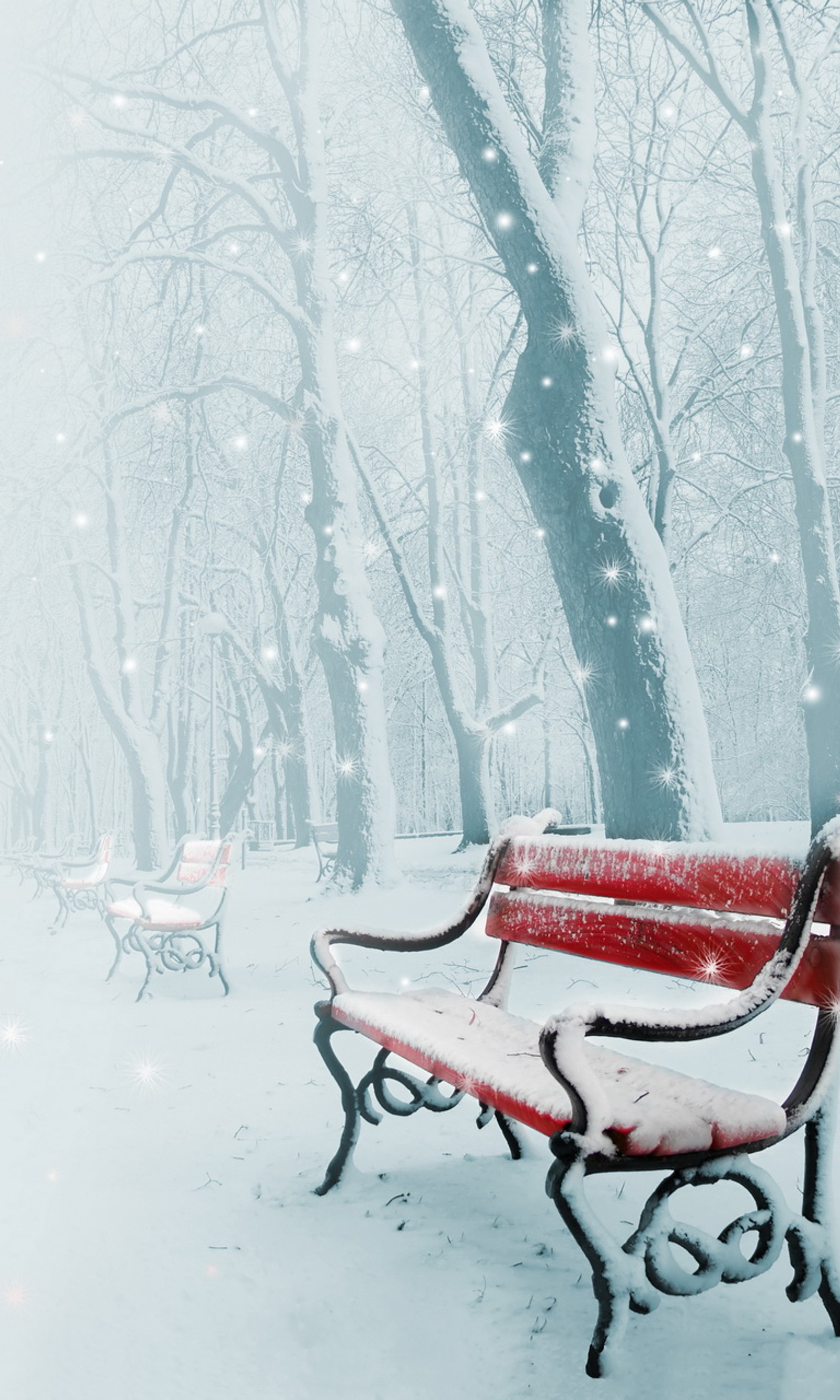 Un banc de parc enneigé avec de la neige qui tombe dessus et des arbres. (park benches, neige, hiver)