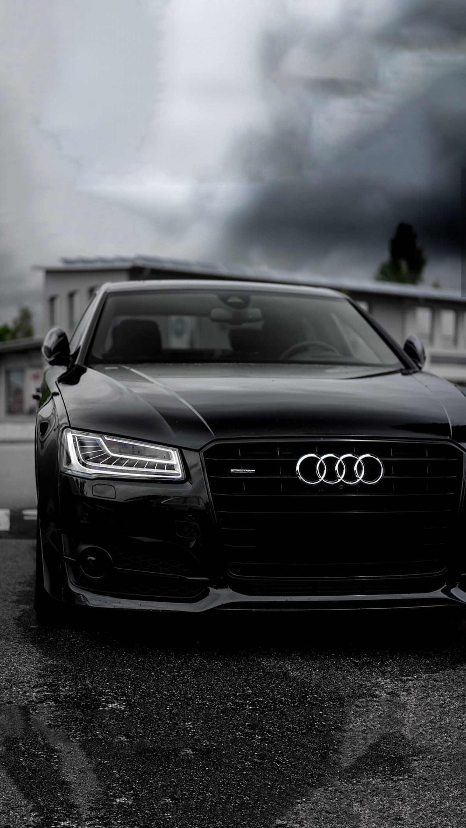 audi, quattro, s8, transporter Download Wallpaper