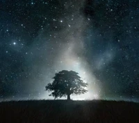 galazy, noche, cielo, estrellas, árbol