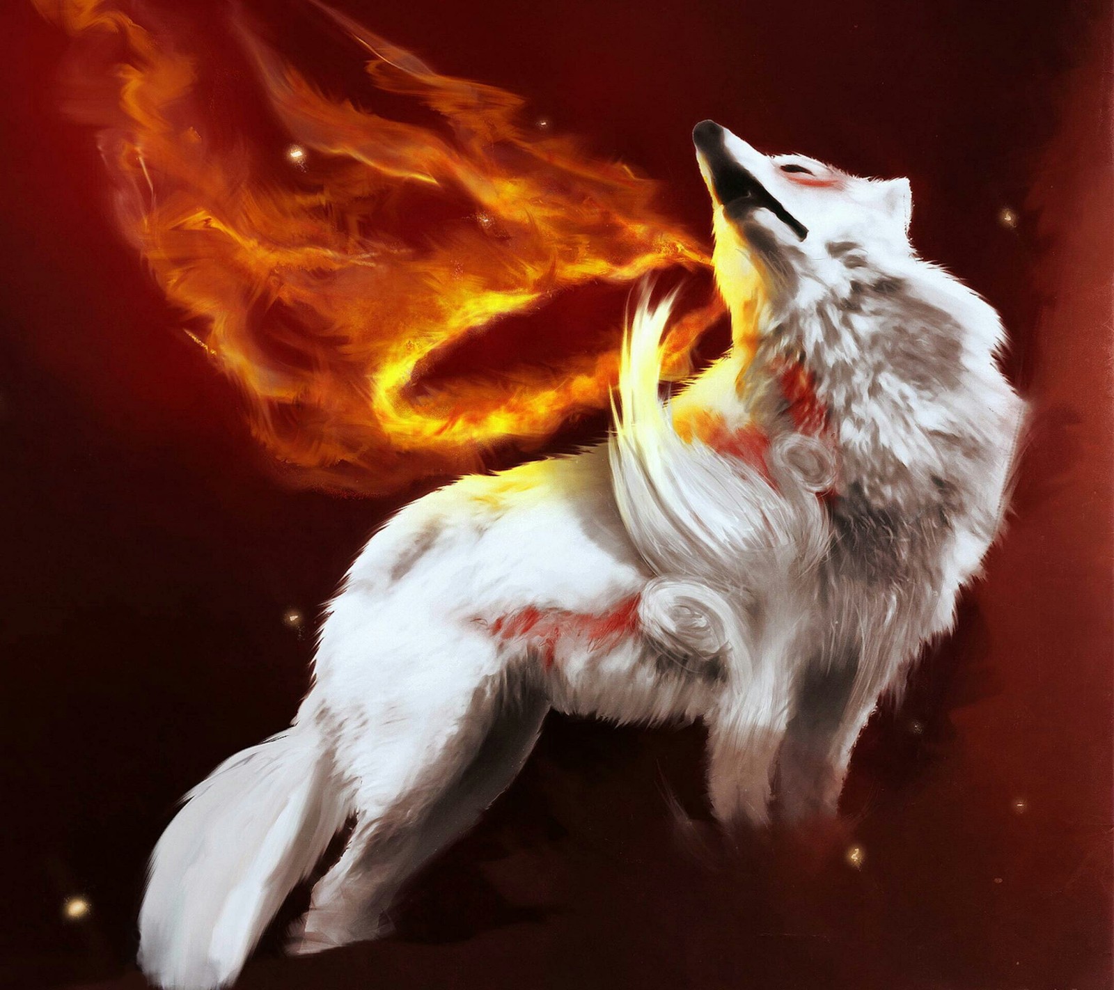 fire, wolf wallpaper