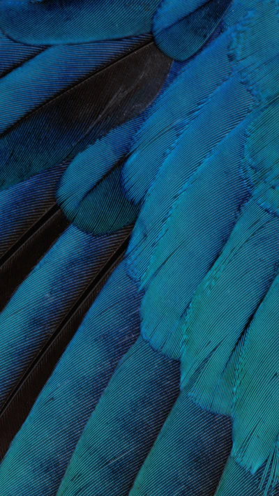 Textura de pluma azul vibrante