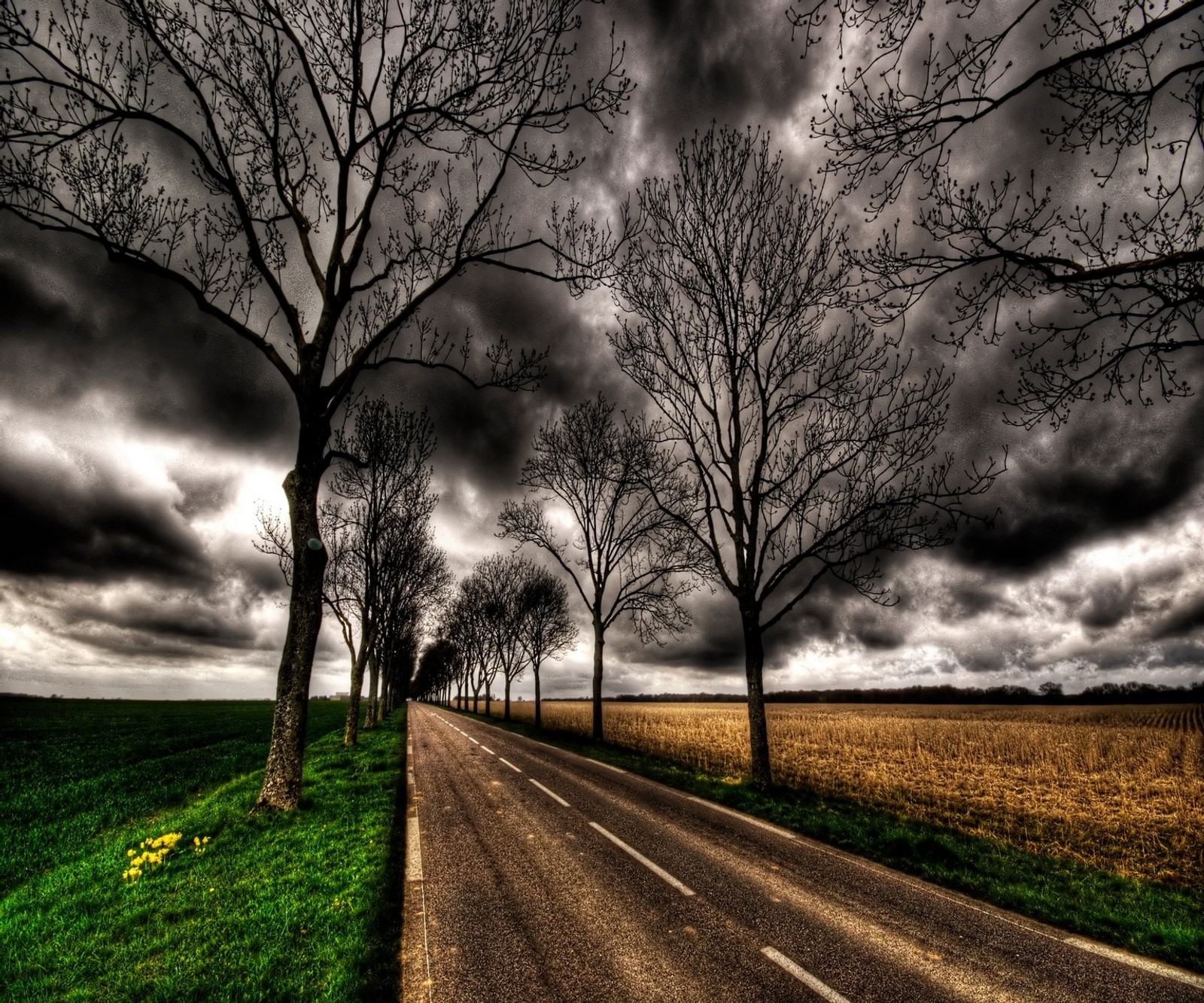 clouds, dry, nature, road, sky wallpaper