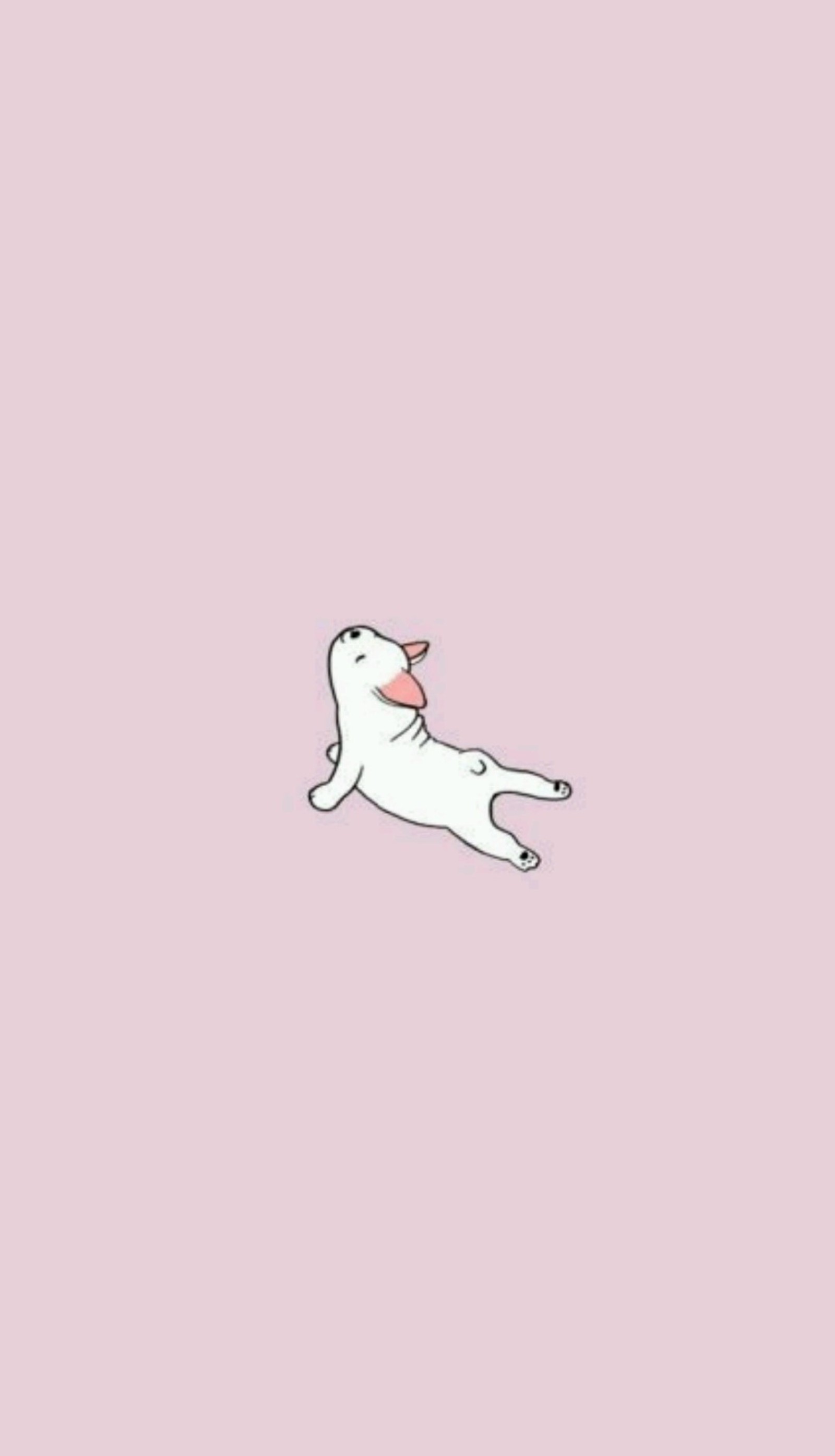 A white cat with a pink heart on its head (blanco, doy, lindo, pastel, perro)