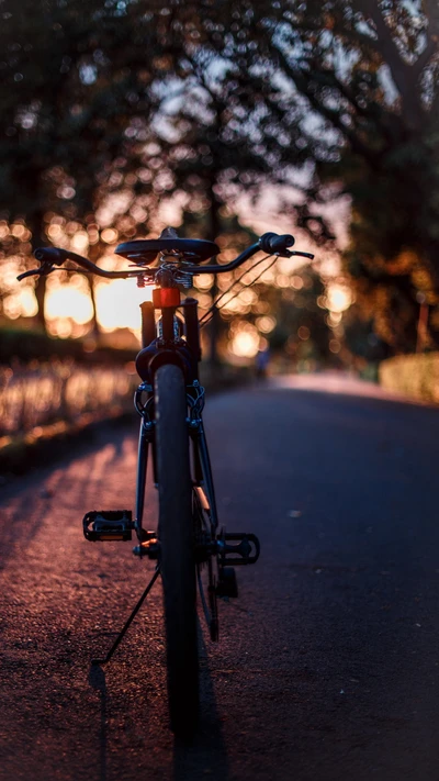 Bicyclette en silhouette contre un chemin au coucher du soleil