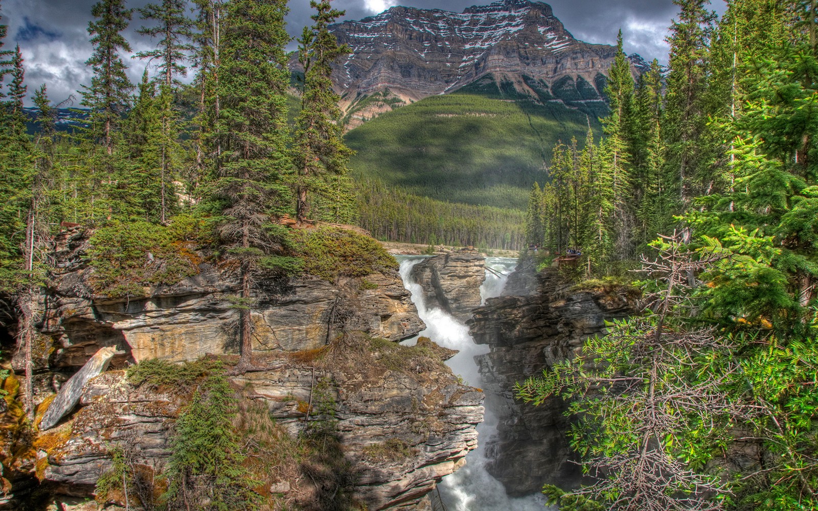 Vista de uma cachoeira nas montanhas com uma montanha ao fundo (cachoeiras athabasca, athabasca falls, natureza, água, wild)