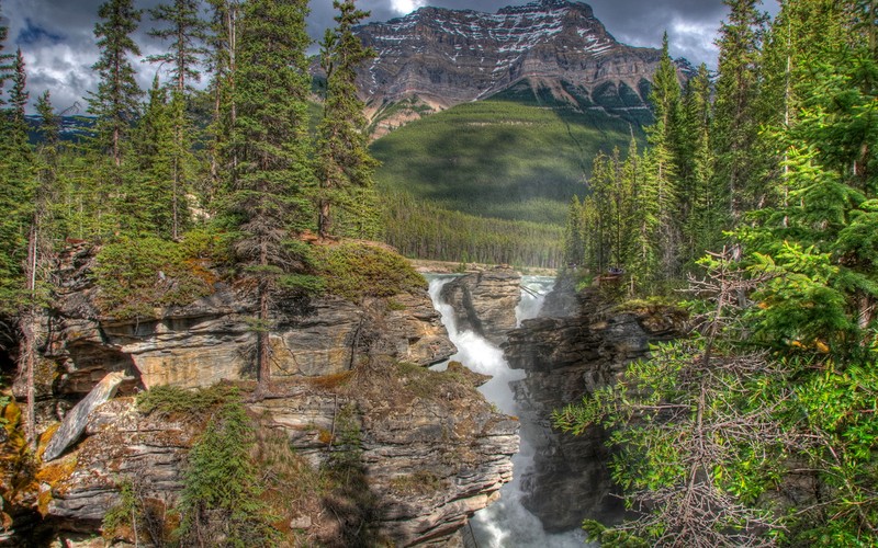 Арефед вид на водопад в горах с горой на заднем плане (водопад атабаска, athabasca falls, природа, вода, дикая природа)