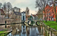 Charming Bruges Canal with Reflections and Swans