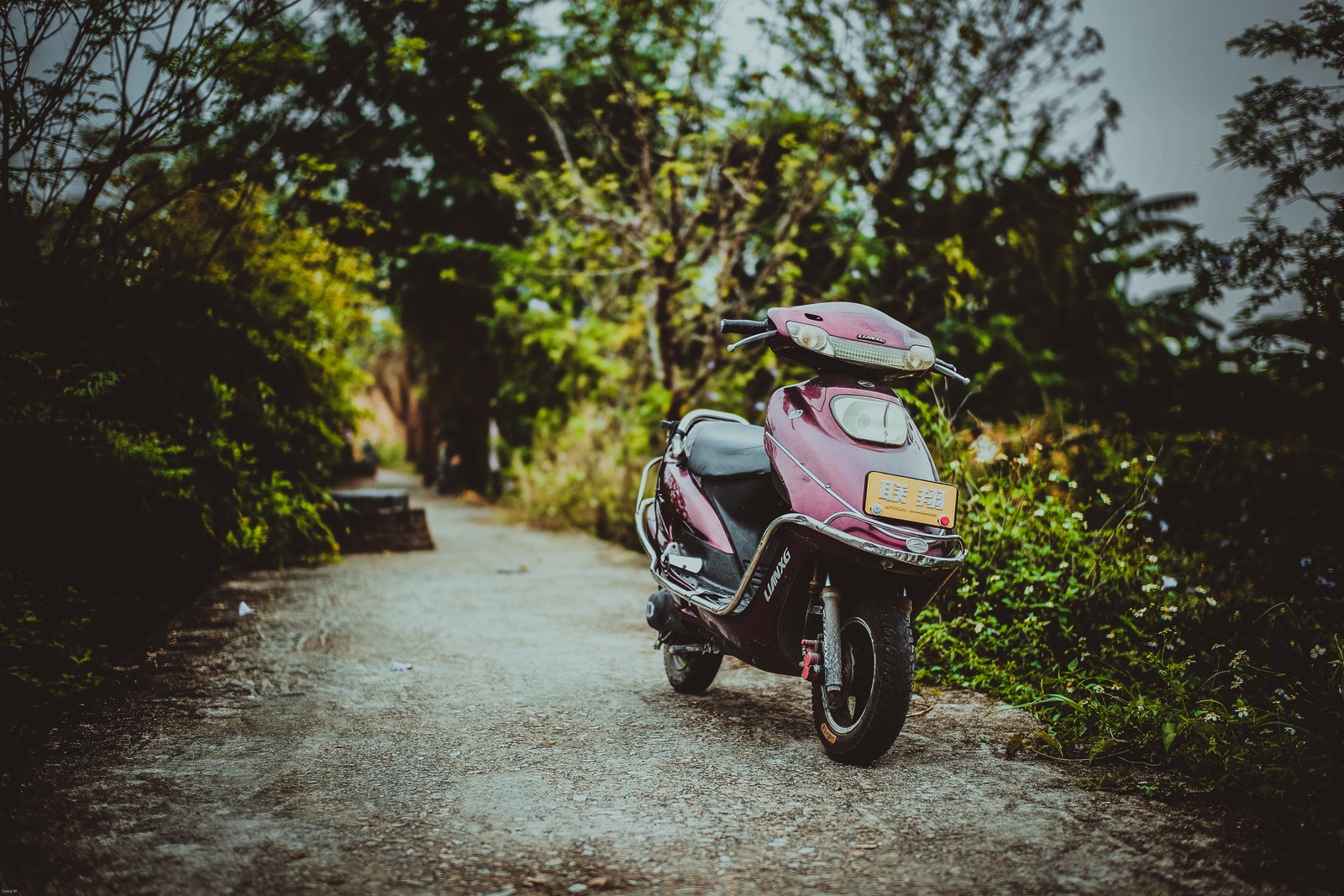 A close up of a motorcycle parked on a dirt road (scooter, motorcycle, car, tree, grass)