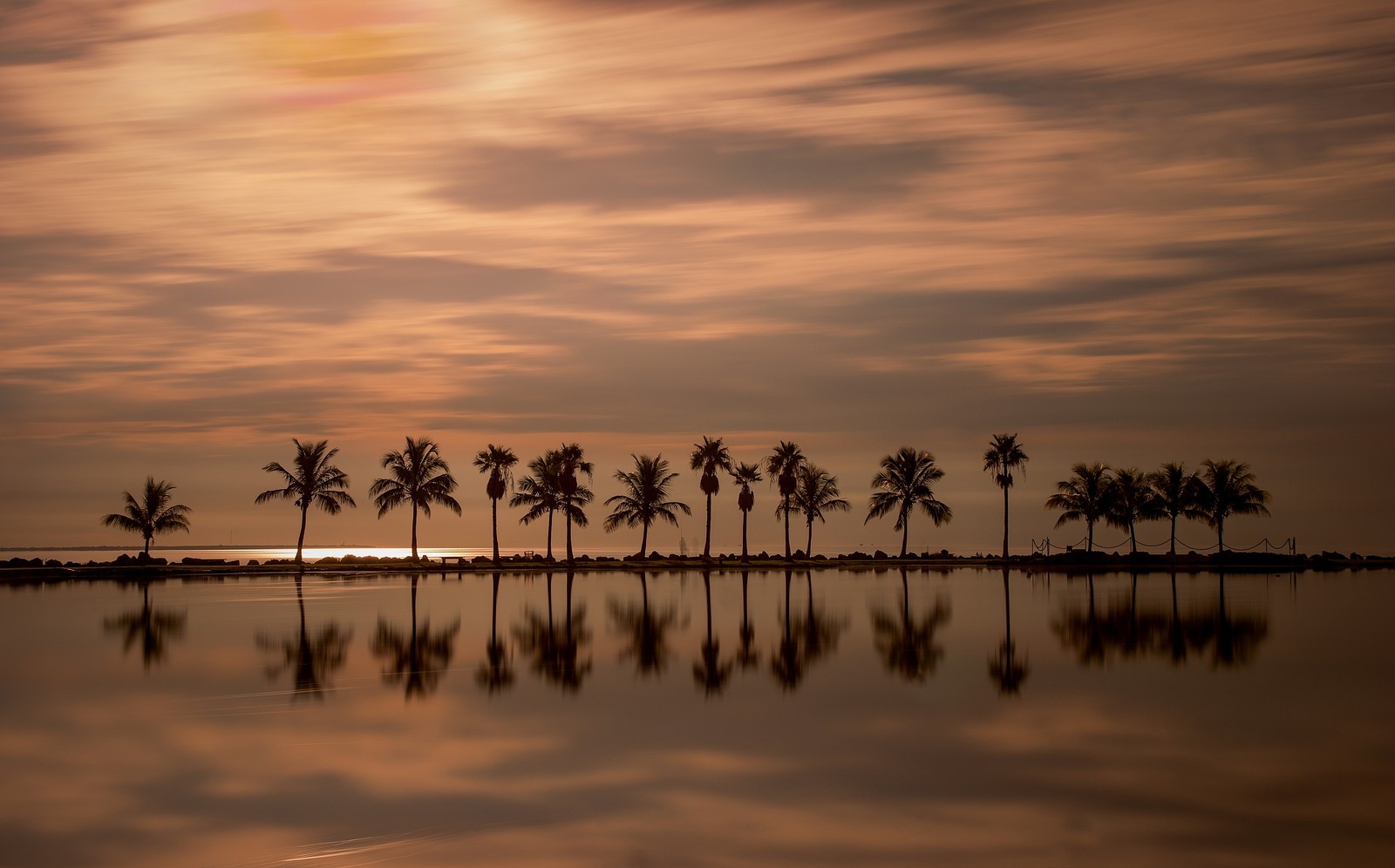 Arafed view of a sunset with palm trees reflected in the water (miami, atlantic ocean, reflection, sunset, evening)