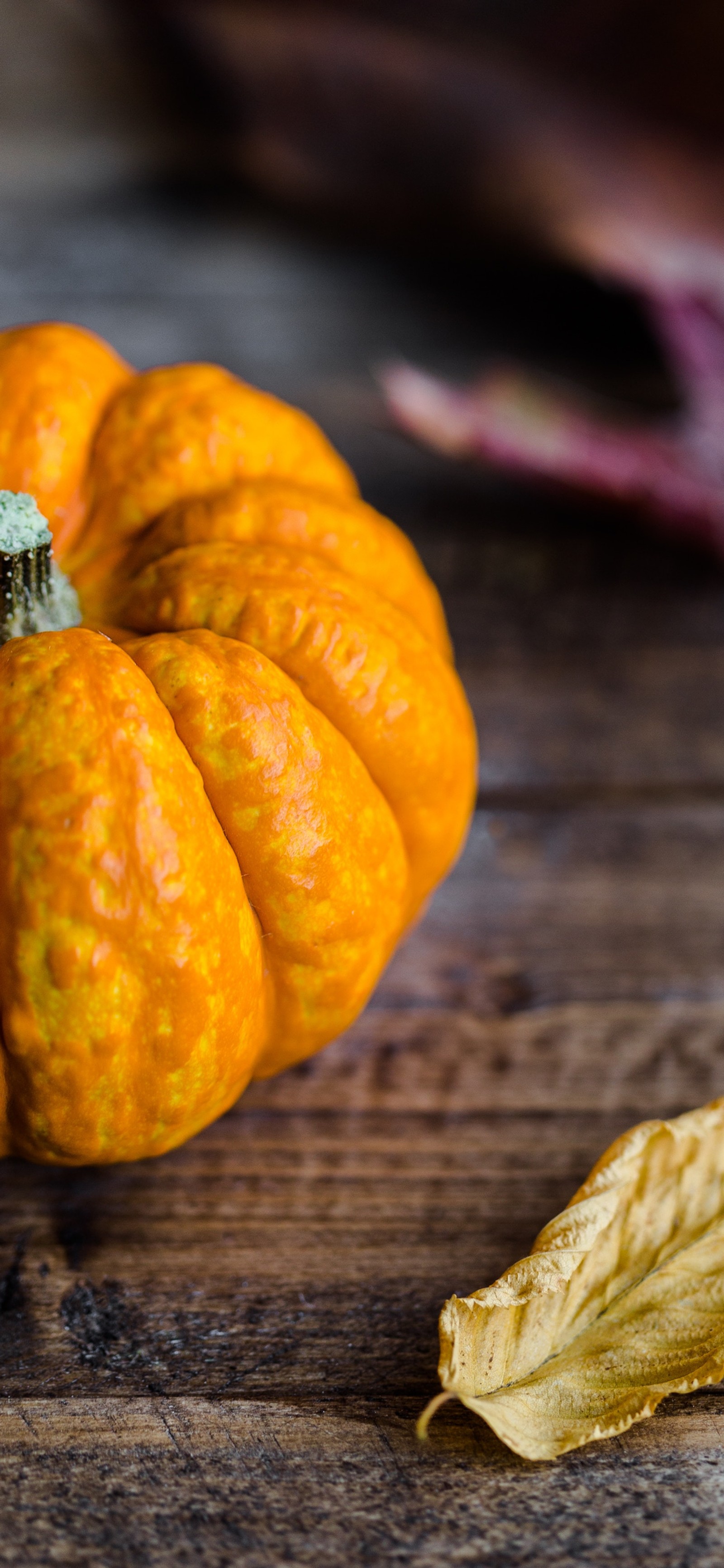 Uma pequena abóbora laranja em cima de uma mesa de madeira (outono, comida, ingrediente, alimentos naturais, laranja)