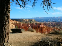 Lebendige Felsformationen und raues Gelände des Bryce-Canyon-Nationalparks, umrahmt von Bäumen unter einem klaren blauen Himmel.