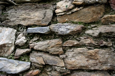 Textured Limestone Stone Wall with Geological Features