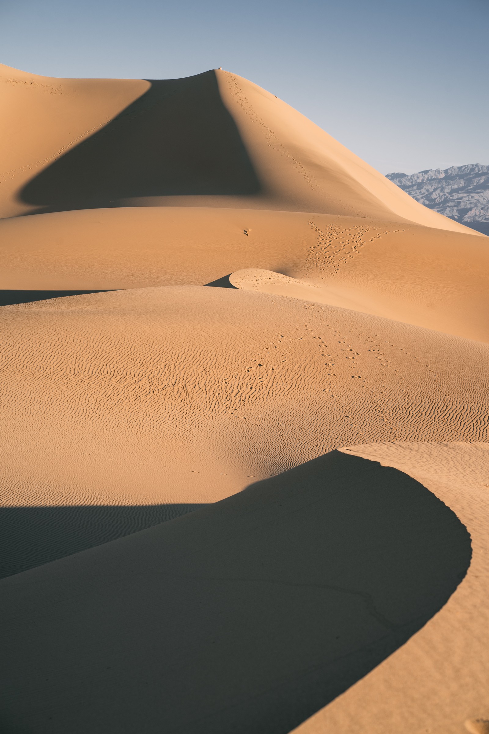 dune, soil, natural environment, erg, geology wallpaper