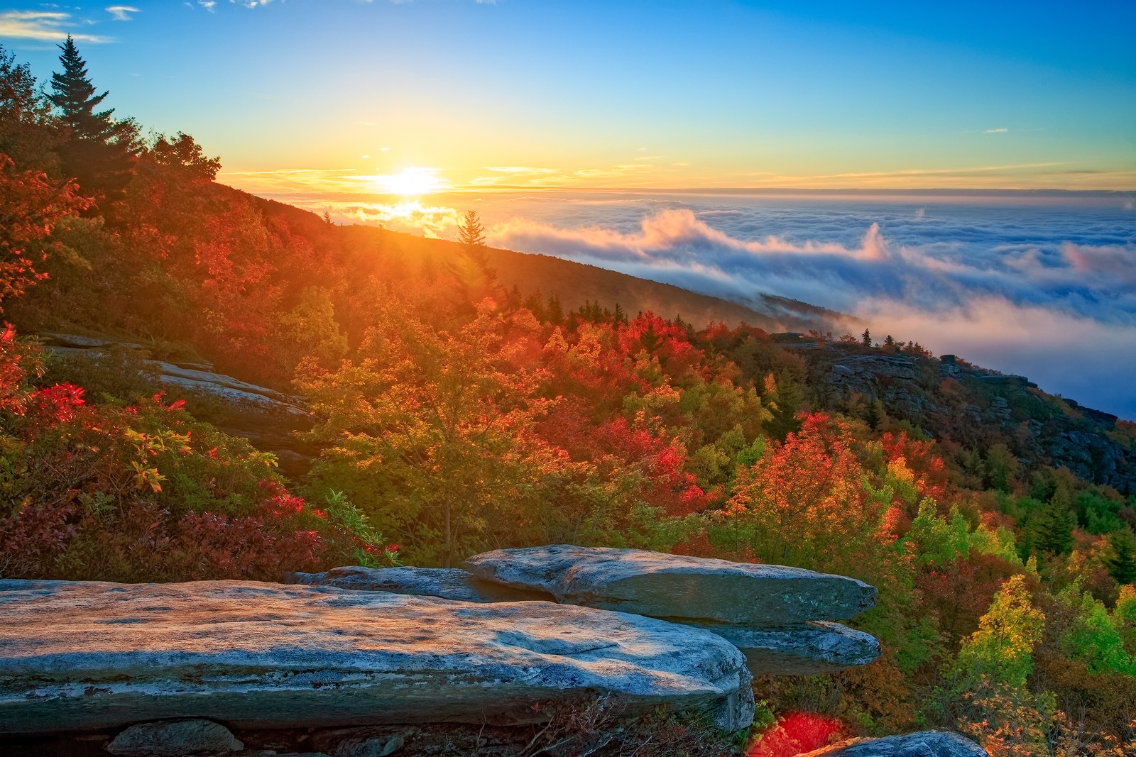 A view of the sun setting over the clouds and trees (nature, natural landscape, morning, sunrise, leaf)