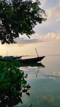 Escena de lago tranquila con bote y vegetación exuberante