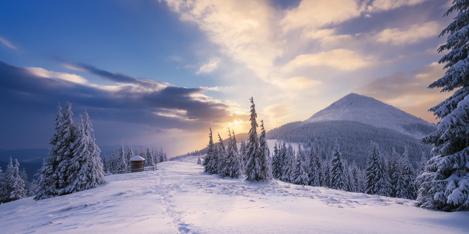 A view of a snowy mountain with trees and a sun (snow, winter, cloud, freezing, tree)