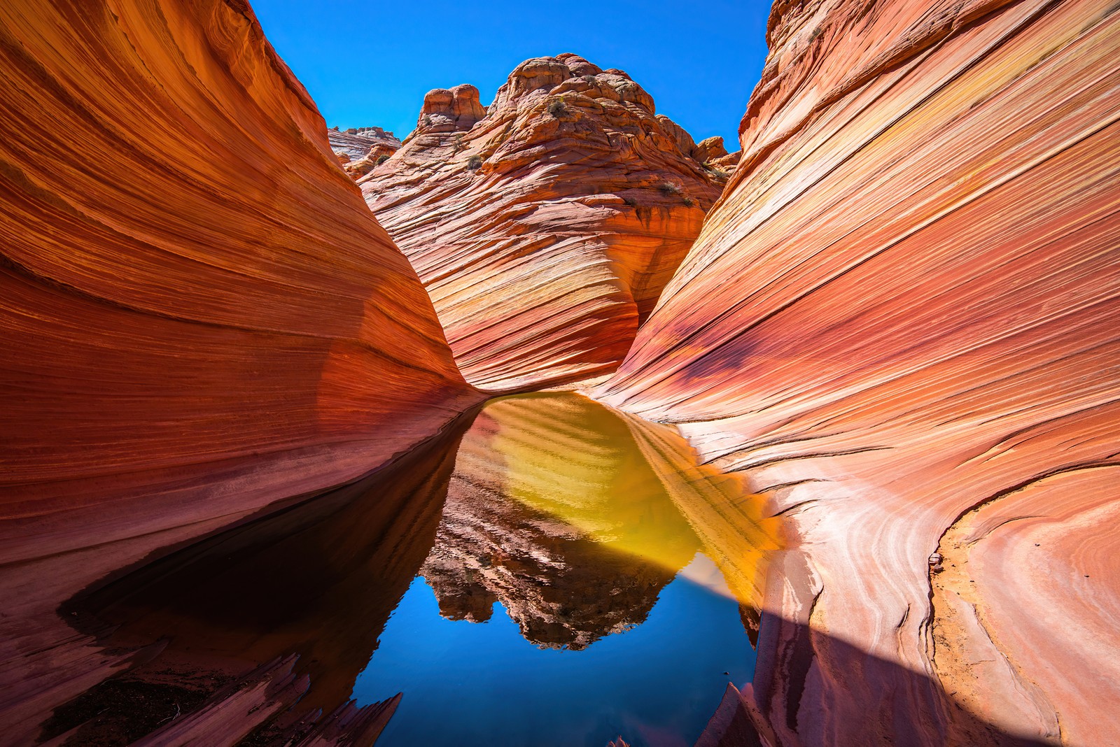 marble canyon, colorado river, the grand canyon, 5k, nature wallpaper