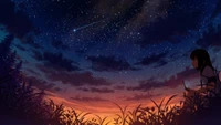 Garota de anime olhando para um céu estrelado ao pôr do sol