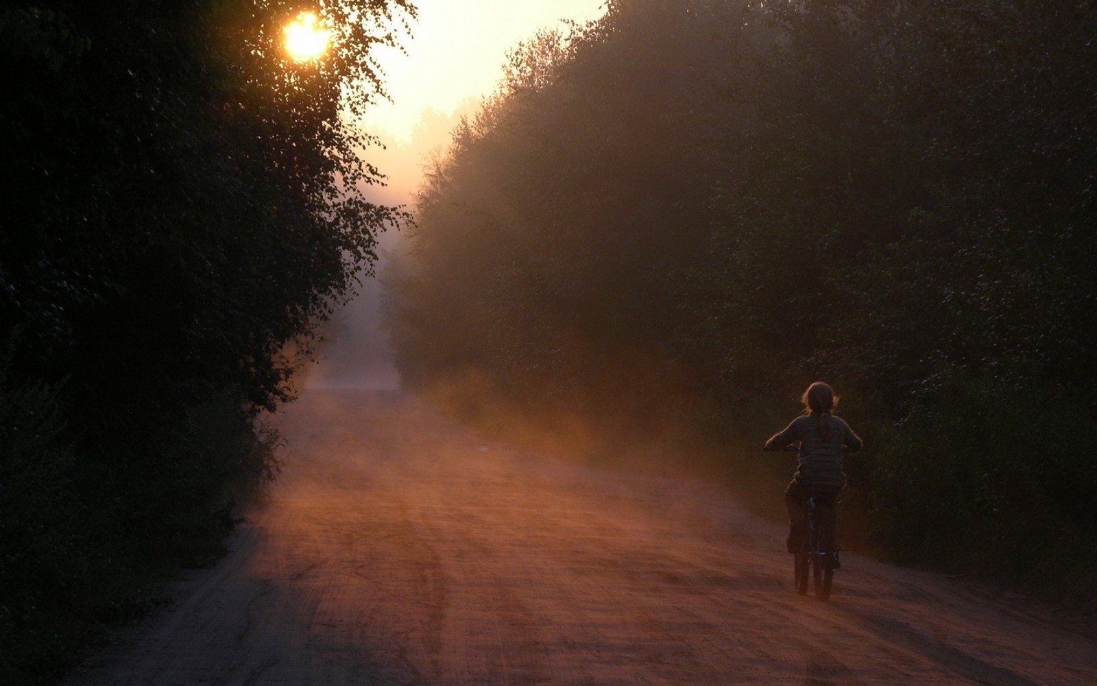 Arafed person riding a bike down a dirt road in the sun (road, child, bicycle, forest)