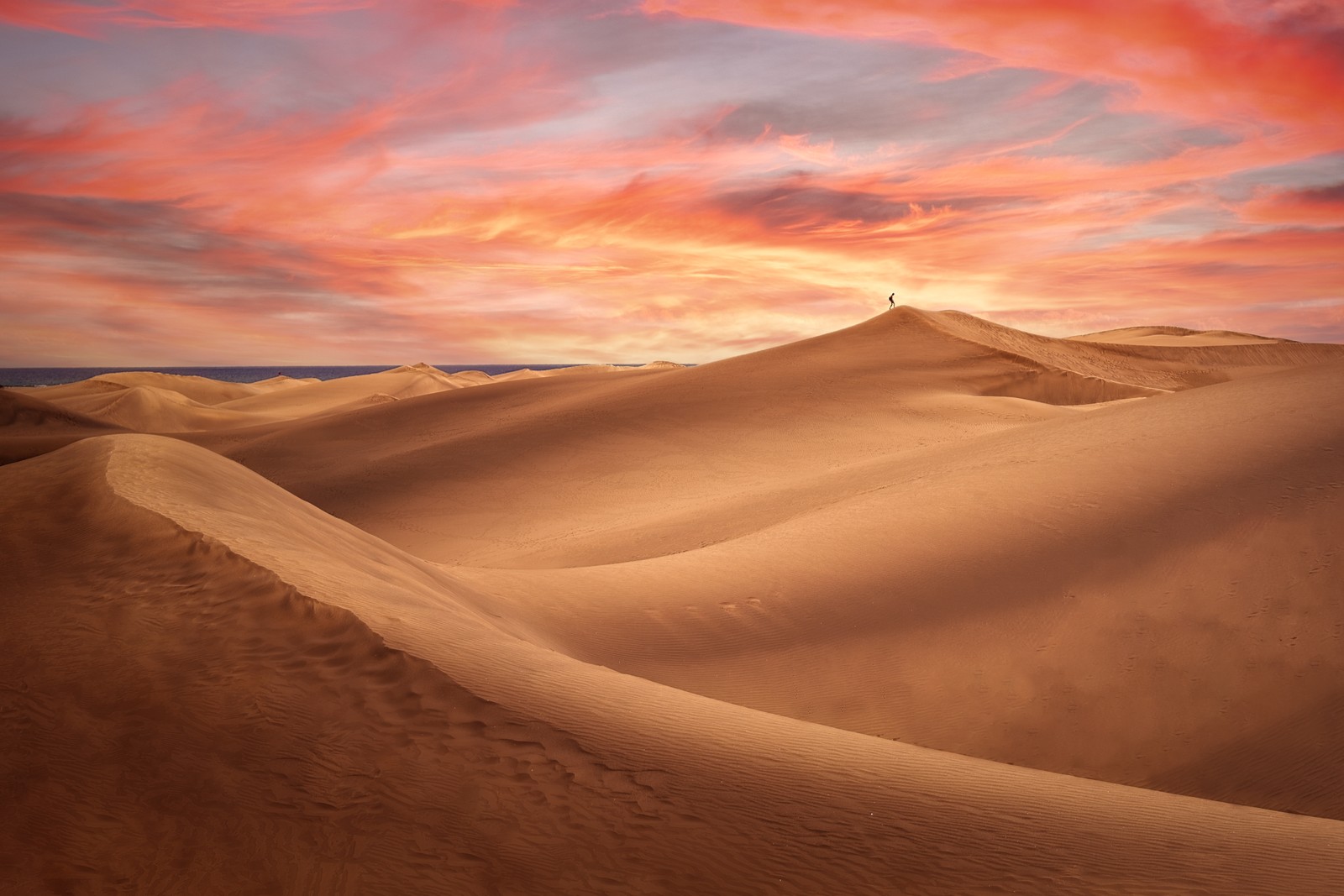 Une vue d'un désert avec des dunes de sable et un coucher de soleil (désert, soir, dunes de sable, seul, coucher de soleil)