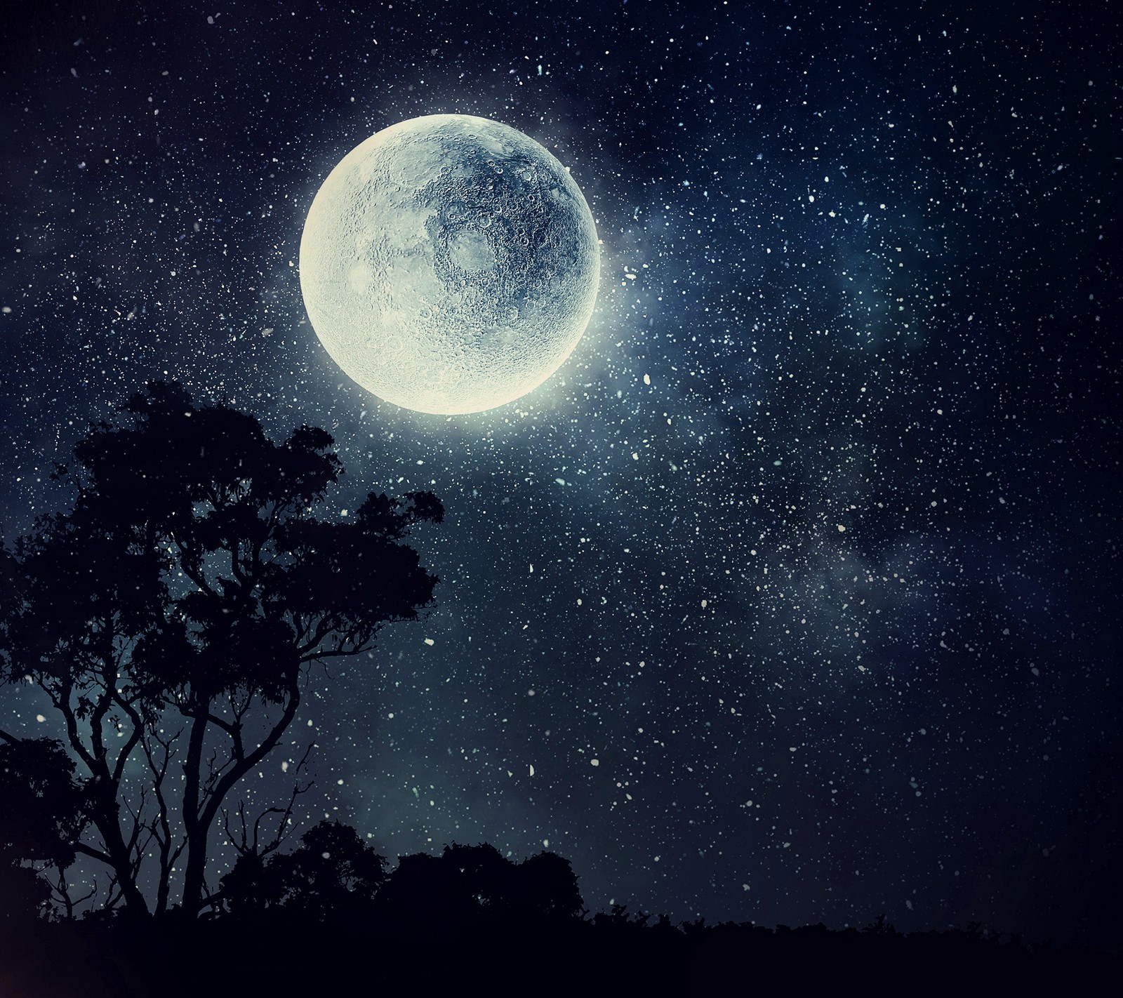 Ciel nocturne avec des étoiles, une pleine lune et la silhouette d'un arbre (abstrait, lune, lunes, lueur de lune, nature)