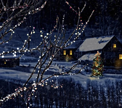 noël, vacances, nature, hiver