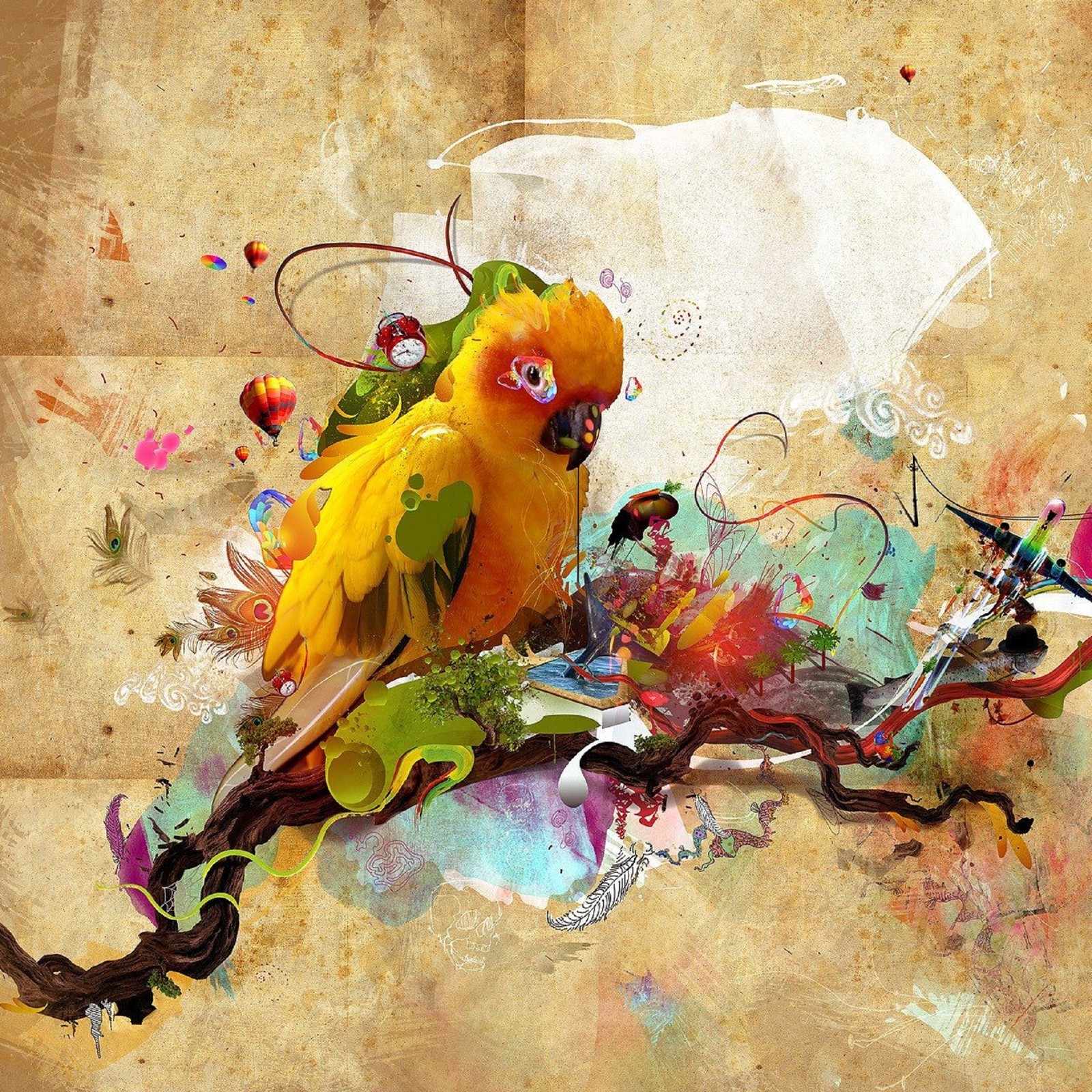 abstract, bird wallpaper