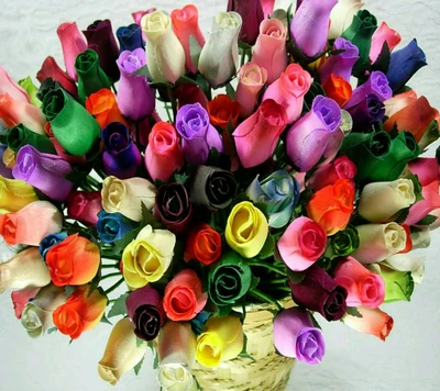 4 u, colourful roses