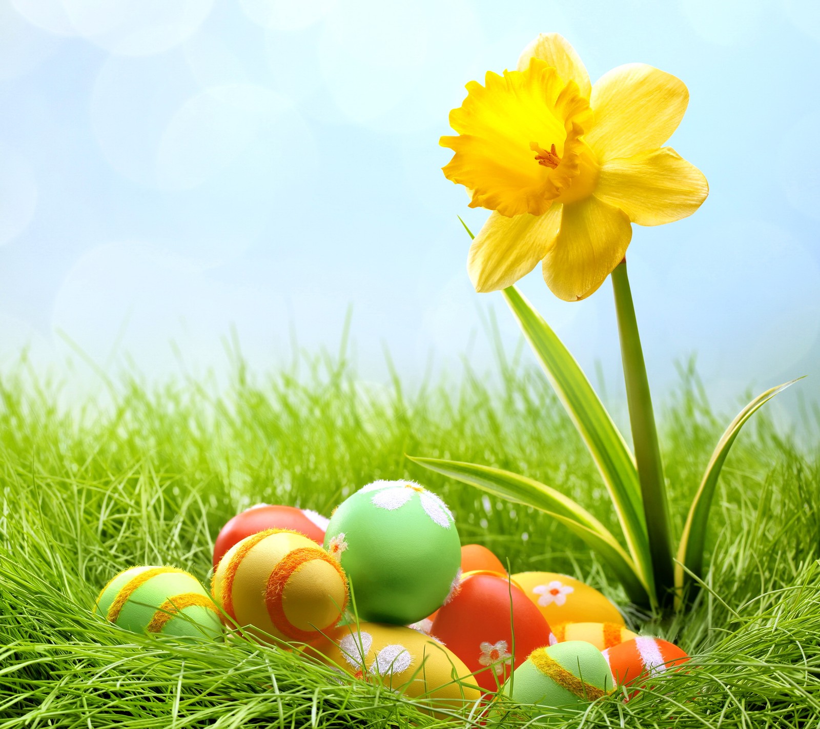 easter, eggs, flower, grass, spring wallpaper