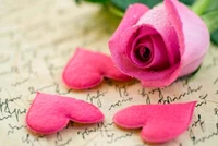 pink, rose hearts