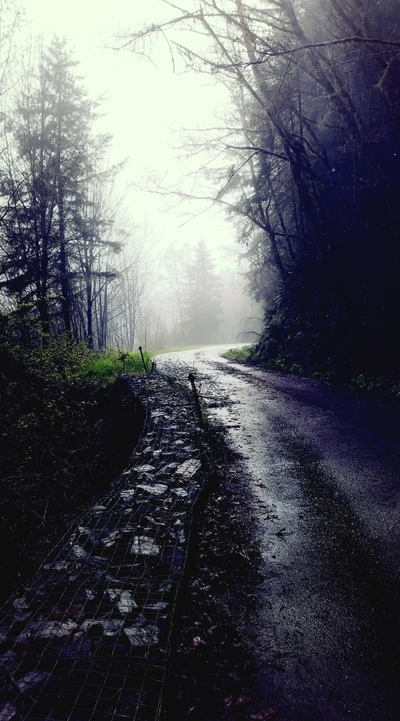 Foggy Forest Road on a Rainy Day