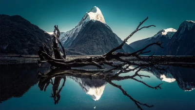 réflexion, nature, eau, montagne, lac