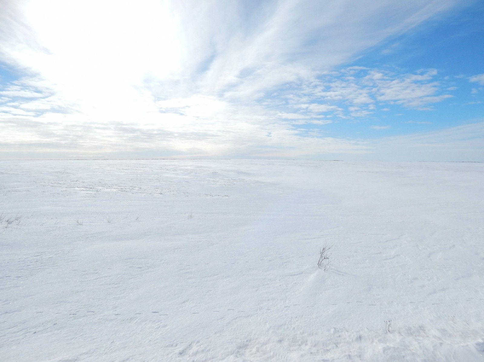 Skiers are walking through the snow on a sunny day (landscape painting, winter, cloud, horizon, arctic)