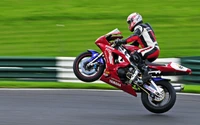 Motociclista realizando un caballito en una pista de carreras