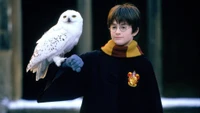 Harry Potter mit seiner schneeweißen Eule, Hedwig, in einer magischen Umgebung.