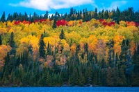 Bosque otoñal vibrante reflejado en un lago tranquilo bajo un cielo azul