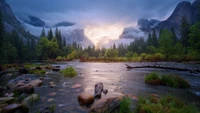 Rivière sereine coulant à travers la brumeuse nature sauvage de Yosemite à l'aube