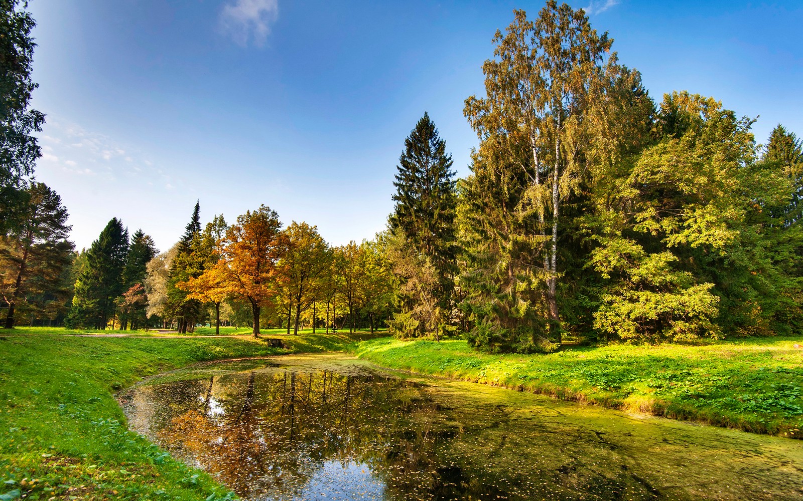 Uma vista de um lago em um parque com árvores e grama (parque, natureza, árvore, água, reflexo)