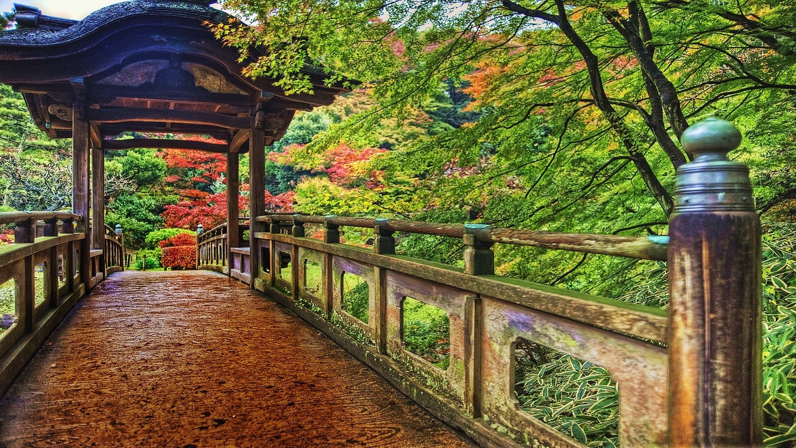 Arafed gehweg mit einer pagode im hintergrund und bäumen im vordergrund (japan, natur, baum, blatt, herbst)