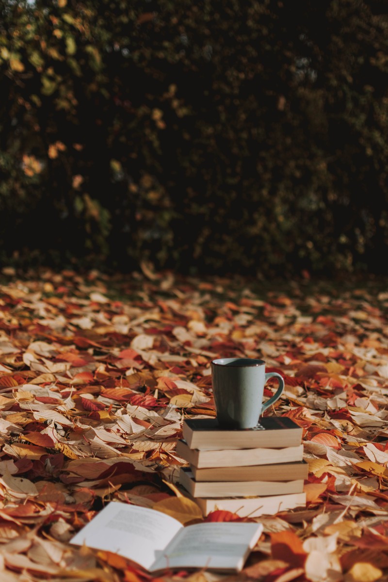 На земле стоит чашка кофе на стопке книг (дерево, растение, натюрморт, осень, лиственные)