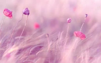 Delicate Pink Flowers in a Soft Spring Breeze