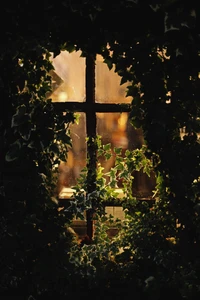 Mit Efeu bewachsenes Fenster mit leuchtendem Licht und Kreuzreflexion