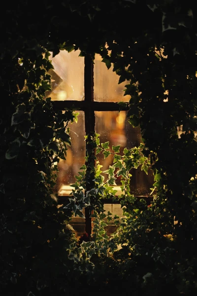 Ventana cubierta de hiedra con luz brillante y reflexión de cruz