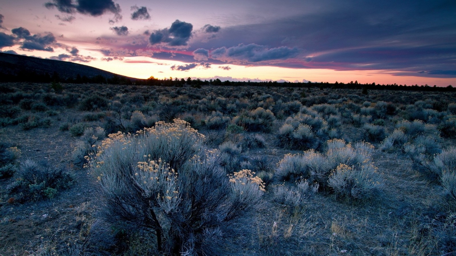 desert, cloud, horizon, wilderness, ecoregion wallpaper