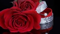 Rosas vermelhas elegantes com um anel de noivado brilhante