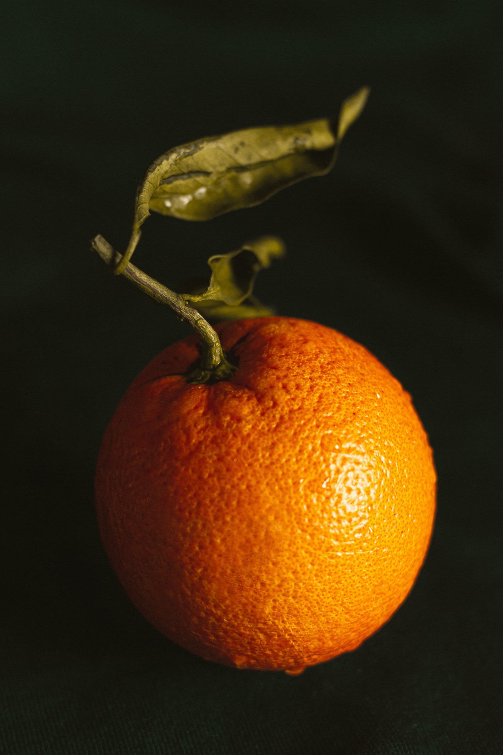 Eine kleine orange mit einem blatt darauf (clementine, orangensaft, frucht, essen, pflanze)