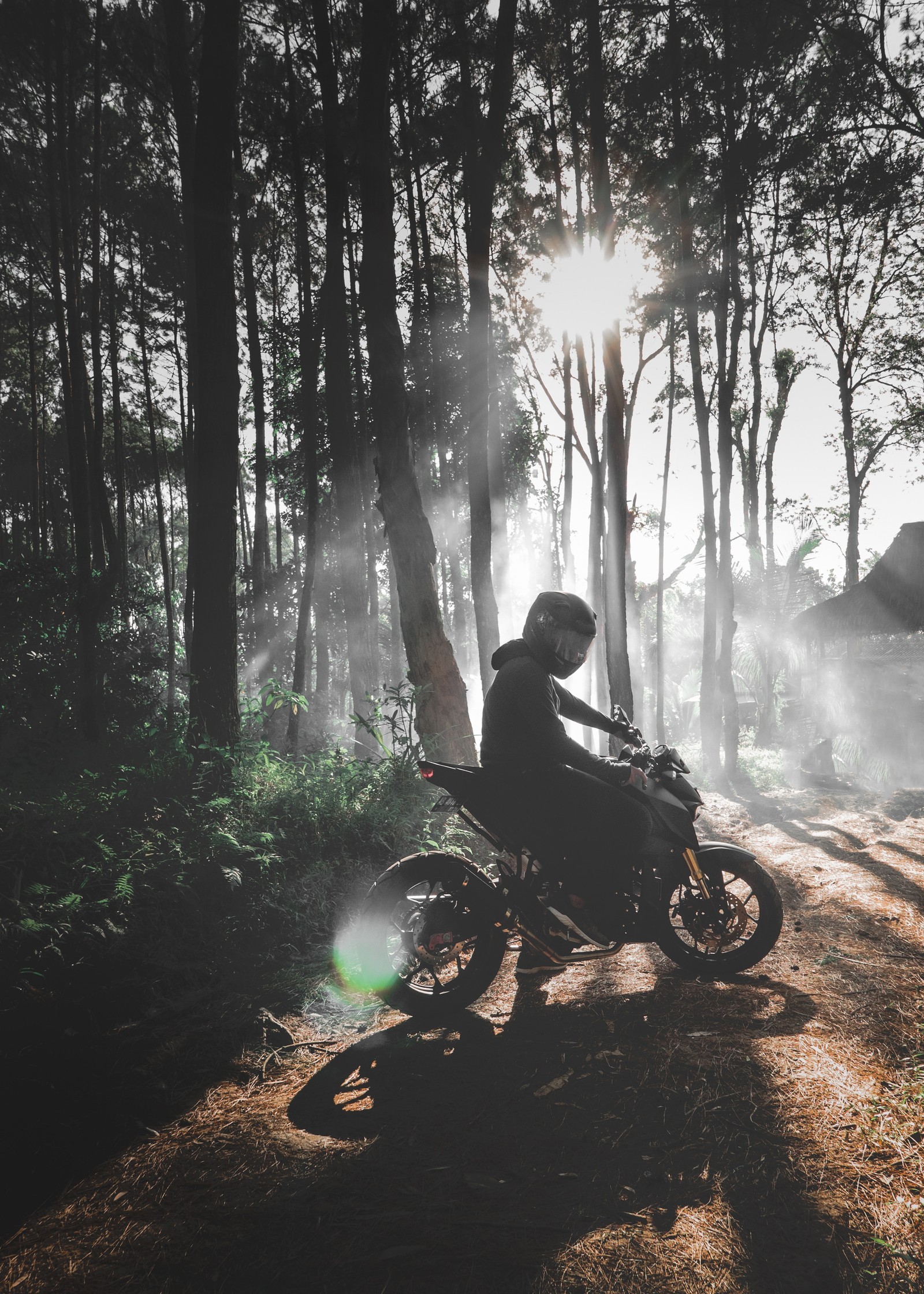 Araffe riding a motorcycle on a dirt road in the woods (motorcycle, bicycle, forest, tree, natural environment)