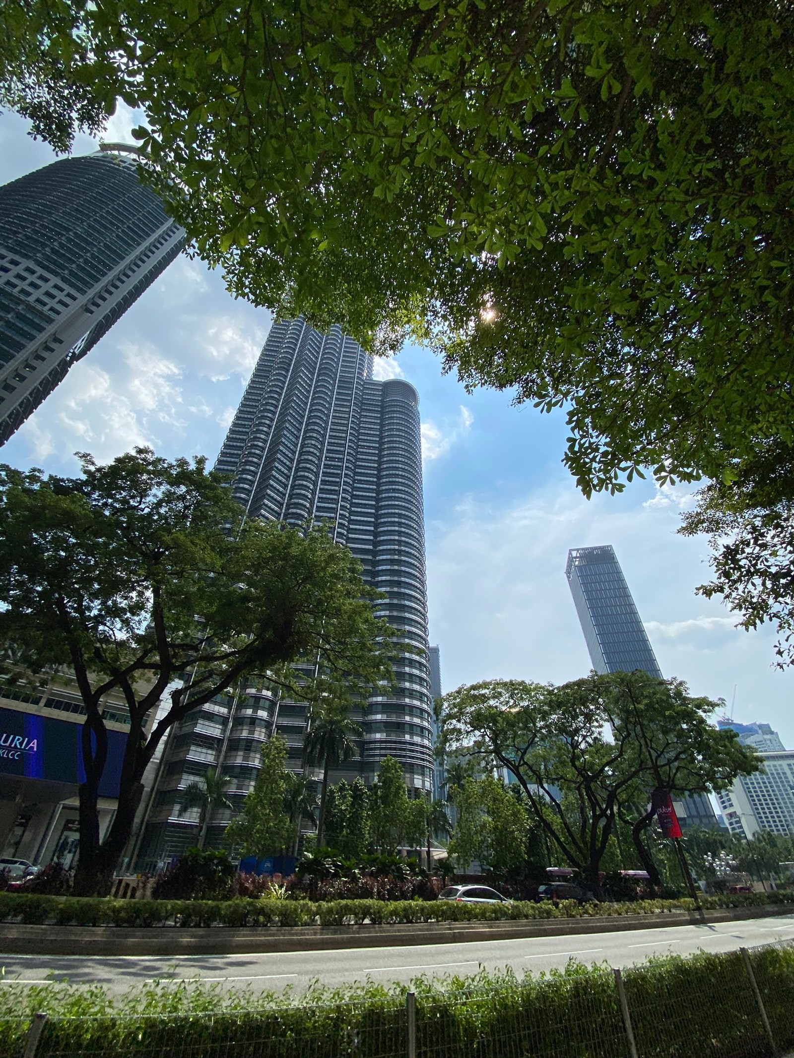 Bäume und sträucher vor einer stadtstraße mit hohen gebäuden (hochhaus, tageszeit, architektur, wolkenkratzer, stadtgebiet)